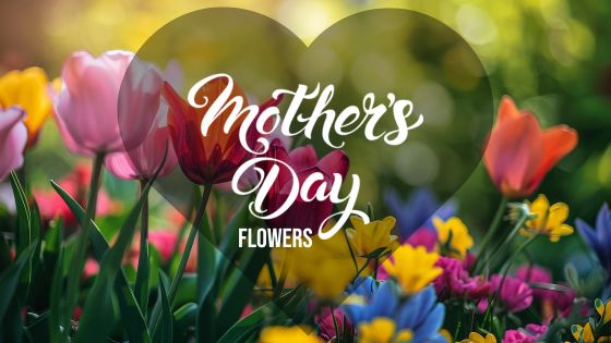 Picture of tulips with text saying Mother's Day Flowers